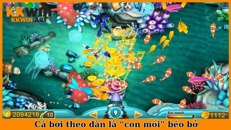 Cá bơi theo đàn là “con mồi” béo bở