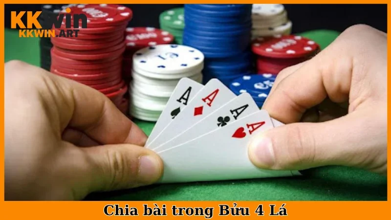 Chia bài trong Bửu 4 Lá
