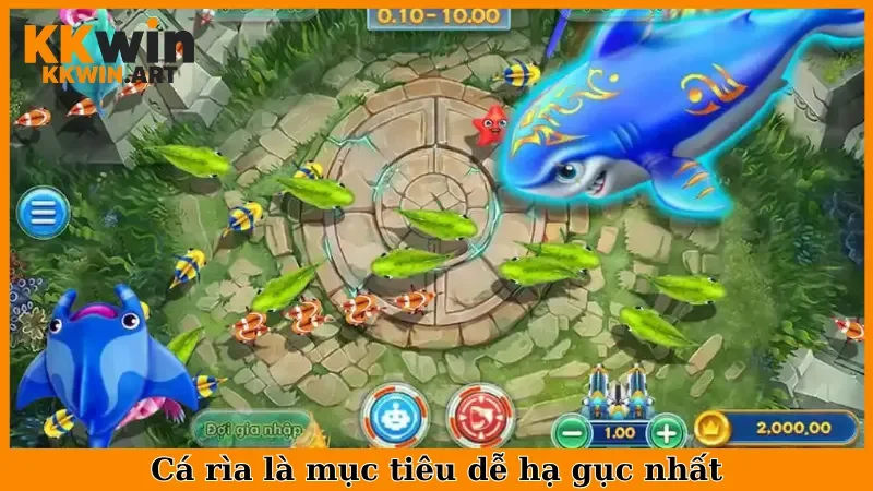 Cá rìa là mục tiêu dễ hạ gục nhất