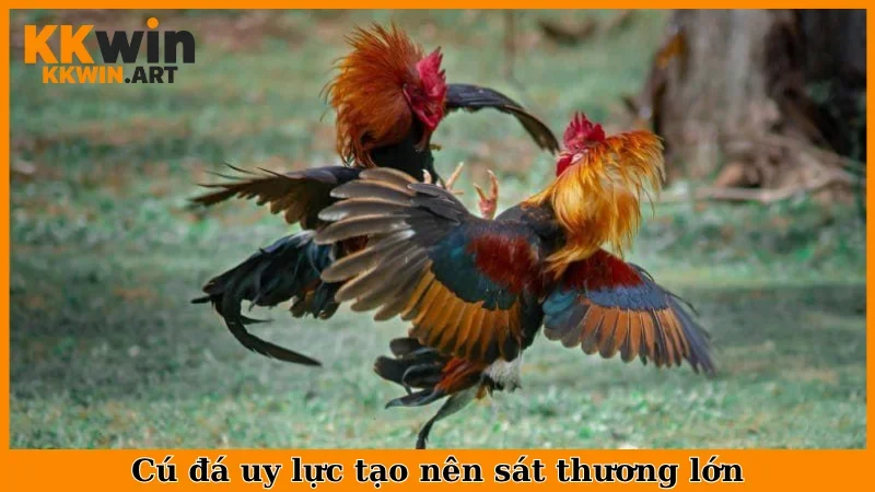Cú đá uy lực tạo nên sát thương lớn 