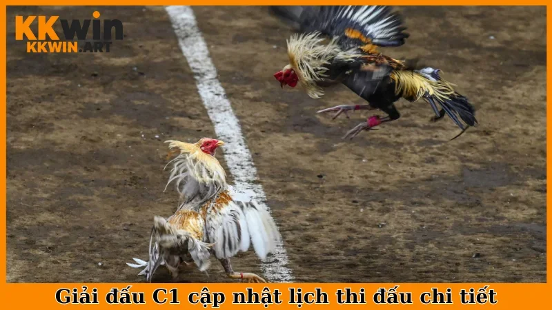 Giải đấu C1 cập nhật lịch thi đấu chi tiết