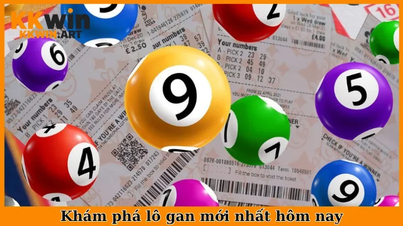 Khám phá lô gan mới nhất hôm nay