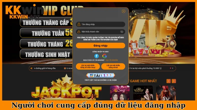 Người chơi cung cấp dữ liệu đăng nhập