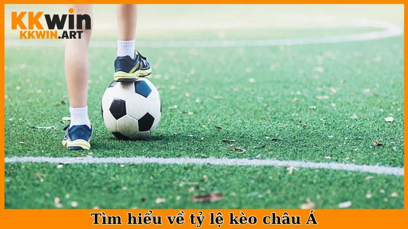 Tìm hiểu về tỷ lệ kèo châu Á