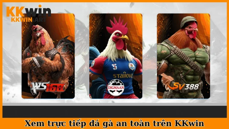 Xem trực tiếp đá gà an toàn trên KKwin