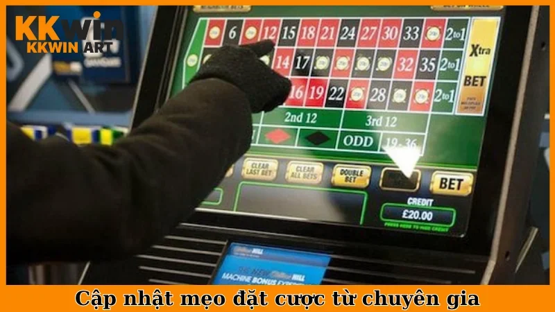Cập nhật mẹo đặt cược từ chuyên gia