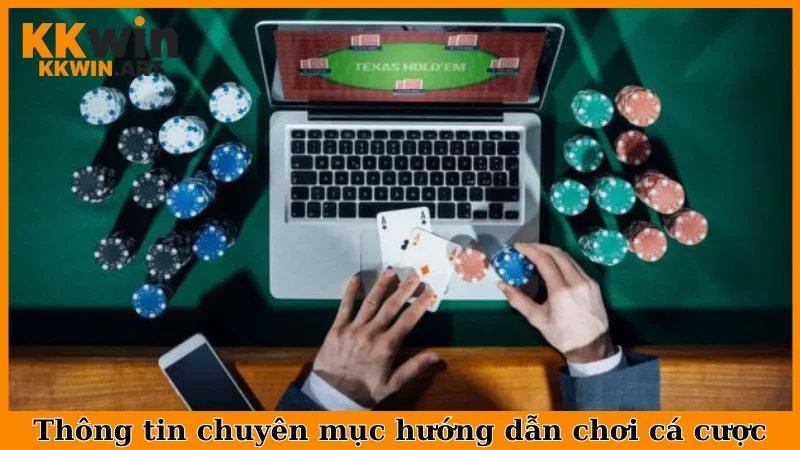 Thông tin chuyên mục hướng dẫn chơi cá cược